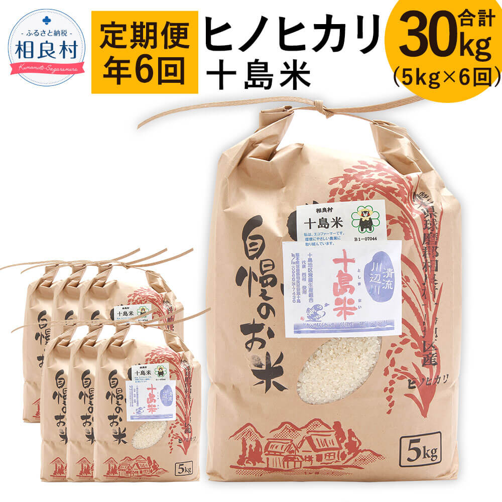 [定期便 年6回/偶数月発送]十島米 5kg×6回 合計30kg ヒノヒカリ 定期便 米 白米 お米 ご飯 精米 復興 支援 九州産 熊本県産 相良村産 送料無料