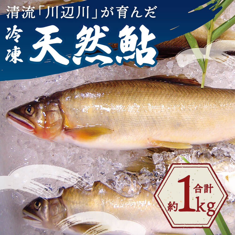 【ふるさと納税】天然鮎 約1kg あゆ アユ 魚 清流 川辺川 冷凍 甘露煮 塩焼き 九州産 相良村産 熊本県産 国産 送料無料 2