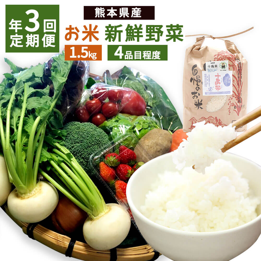 【ふるさと納税】【年3回定期便】茶湯里のお米と新鮮野菜定期便 詰め合わせ お米 1.5kg 季節の野菜 4品目程度 ヒノヒカリ 精米 白米 新鮮 野菜 九州産 熊本県産 2月 5月 10月 3回発送 国産 おまかせ 冷蔵 送料無料 その1
