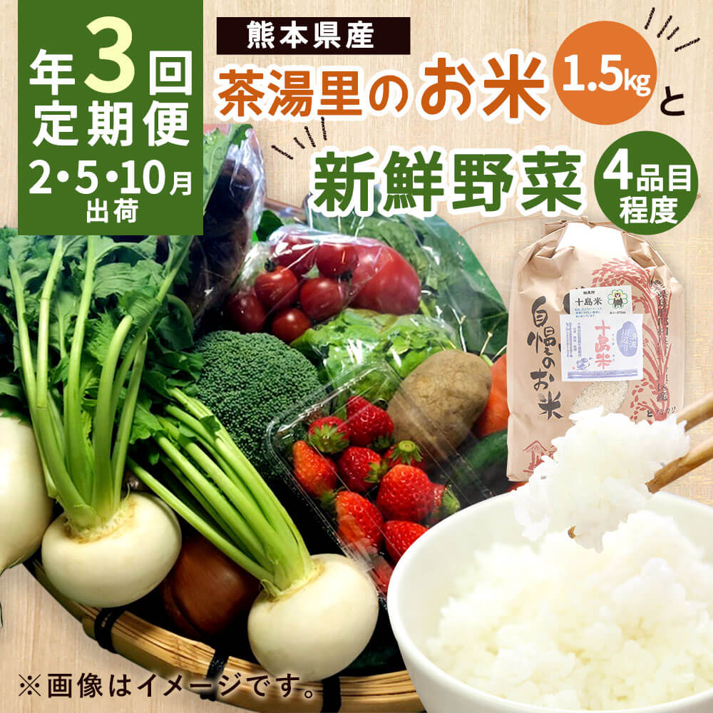 【ふるさと納税】【年3回定期便】茶湯里のお米と新鮮野菜定期便 詰め合わせ お米 1.5kg 季節の野菜 4品目程度 ヒノヒカリ 精米 白米 新鮮 野菜 九州産 熊本県産 2月 5月 10月 3回発送 国産 おまかせ 冷蔵 送料無料