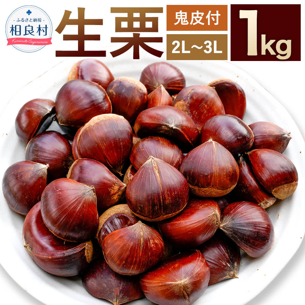 相良村産 生栗 (2L～3Lサイズ) 1kg 鬼皮付き 【2024年9月下旬～2025年4月上旬発送予定】 栗 クリ くり お取り寄せ 九州産 熊本県産 国産 冷蔵配送 送料無料