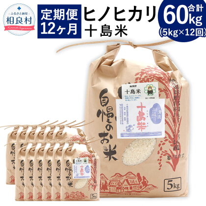 【12ヶ月定期便】十島米 5kg×12回 合計60kg ヒノヒカリ 定期便 一年 米 白米 お米 ご飯 精米 復興 支援 九州産 熊本県産 相良村産 送料無料