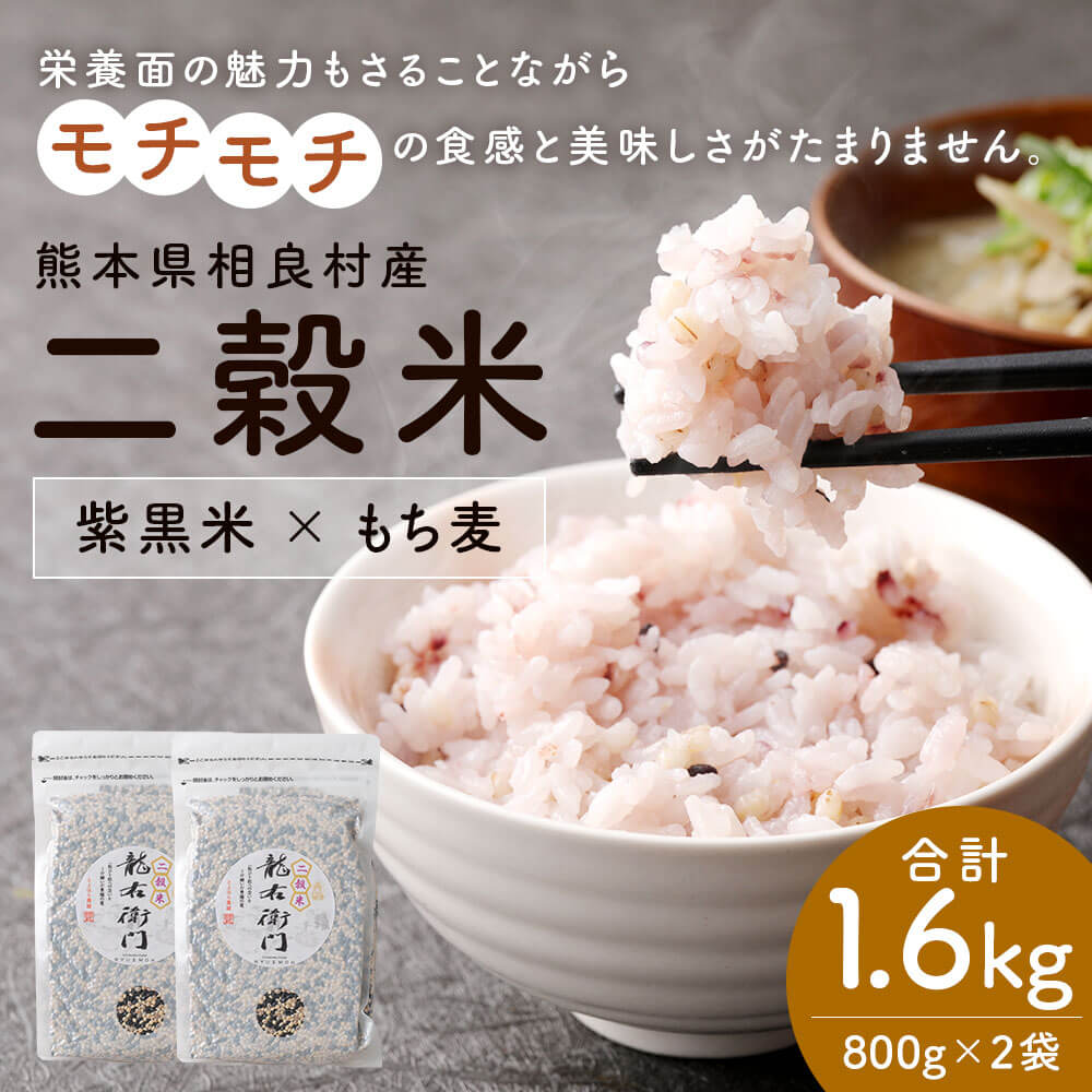 【ふるさと納税】二穀米（紫黒米×もち麦） 合計1.6kg 800g×2袋セット とよはら農園 雑穀 麦 もち麦 熊本県産 相良村産 送料無料