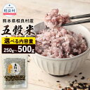 【ふるさと納税】【先行受付】【選べる容量】相良村産 ヘルシー 五穀米 250g 500g 【2025年11月上旬より発送開始】 国産 熊本県産 黒米 もち皮付き押し麦 うるち玄米 もち押し麦 赤米 雑穀米 ブレンド 送料無料
