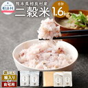 【ふるさと納税】【先行受付】<選べる>二穀米(紫黒米×もち麦) 合計1.6kg 800g×2袋セット 【箱入り】または【ご自宅用】 【2025年11月上旬より発送開始】 とよはら農園 雑穀 麦 もち麦 熊本県産 相良村産 送料無料