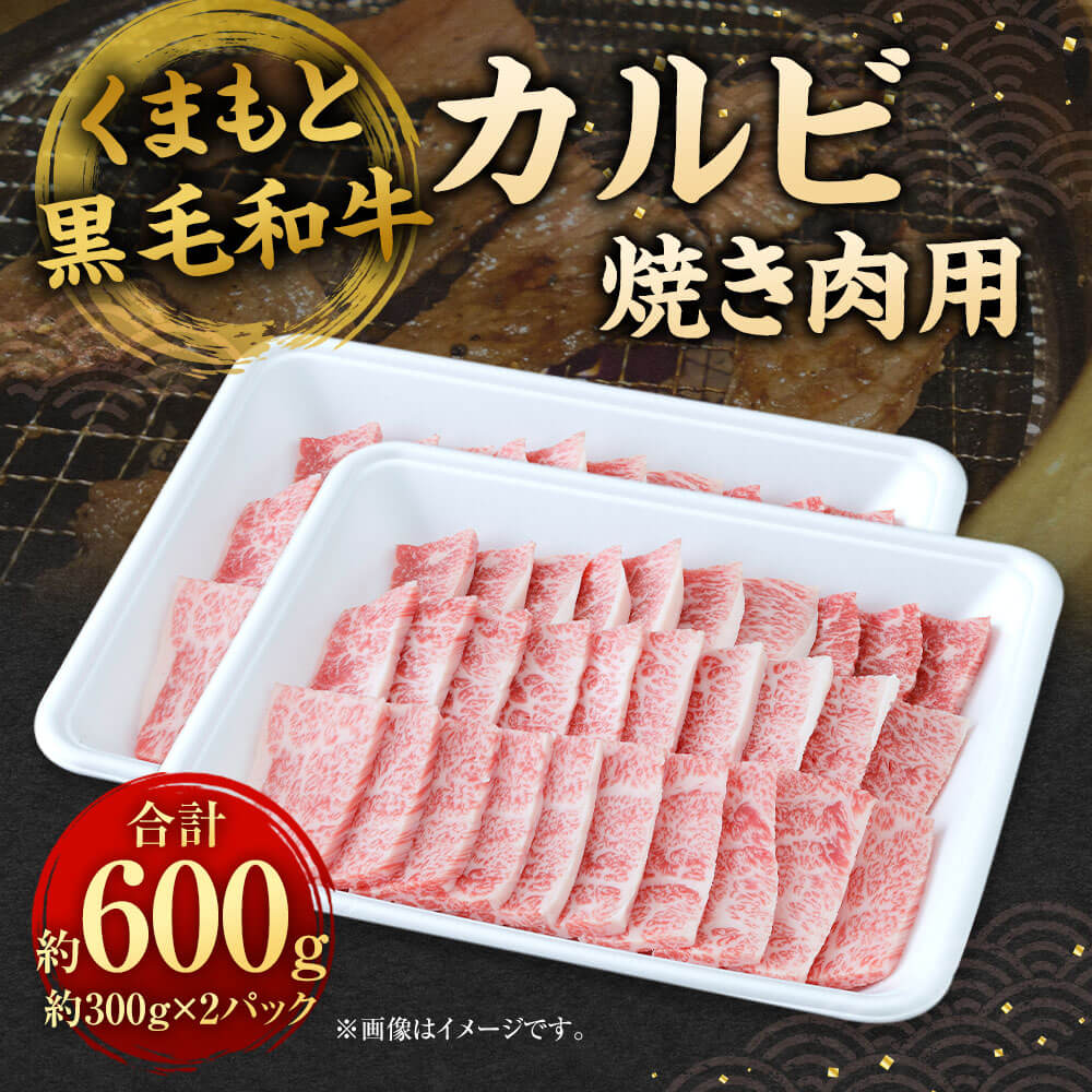 【ふるさと納税】くまもと黒毛和牛 焼き肉用カルビ 約600g 約300g×2 牛肉 カルビ 九州産 国産 熊本県産 焼肉 BBQ バーベキュー 焼き肉 お肉 冷凍 送料無料