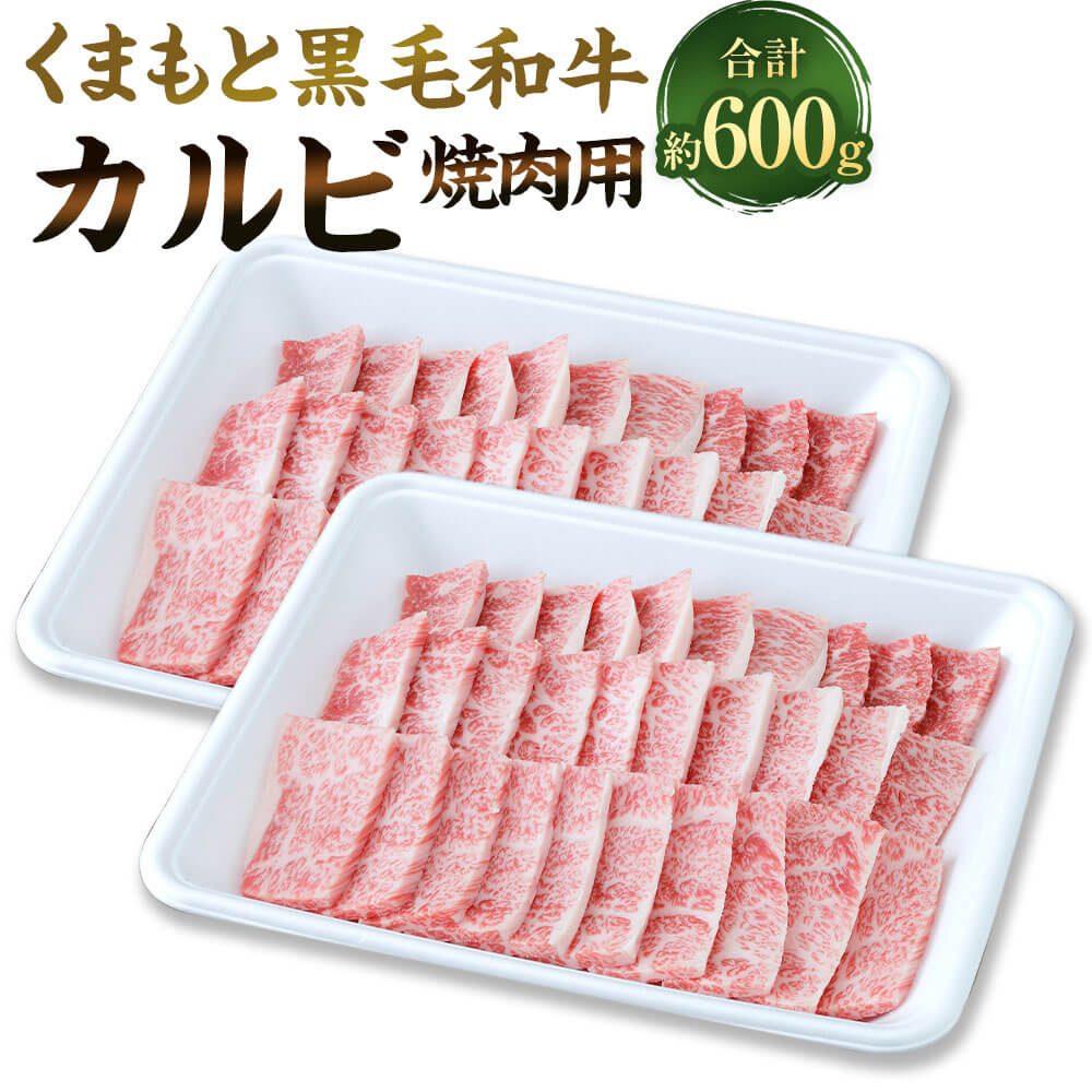 くまもと黒毛和牛 焼き肉用カルビ 約600g 約300g×2 牛肉 カルビ 九州産 国産 熊本県産 焼肉 BBQ バーベキュー 焼き肉 お肉 冷凍 送料無料