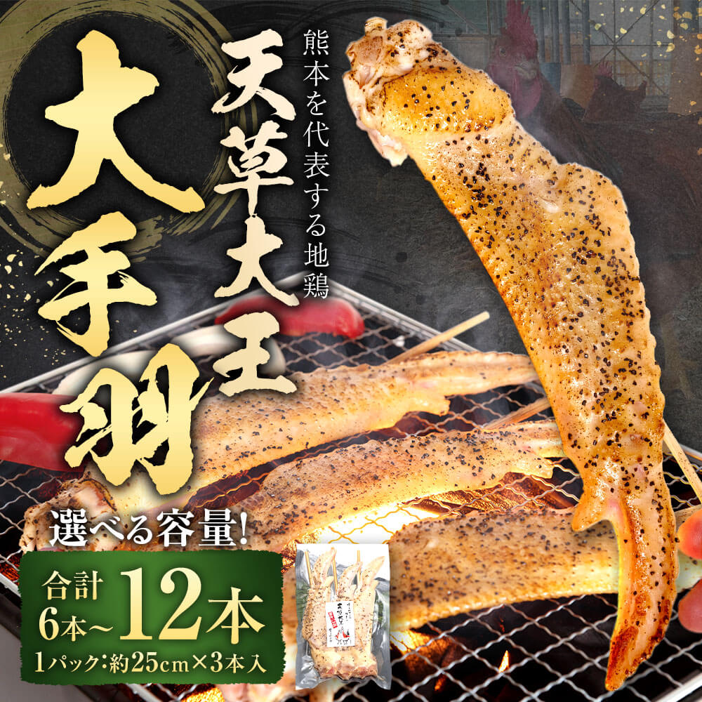 熊本県相良村の画像2