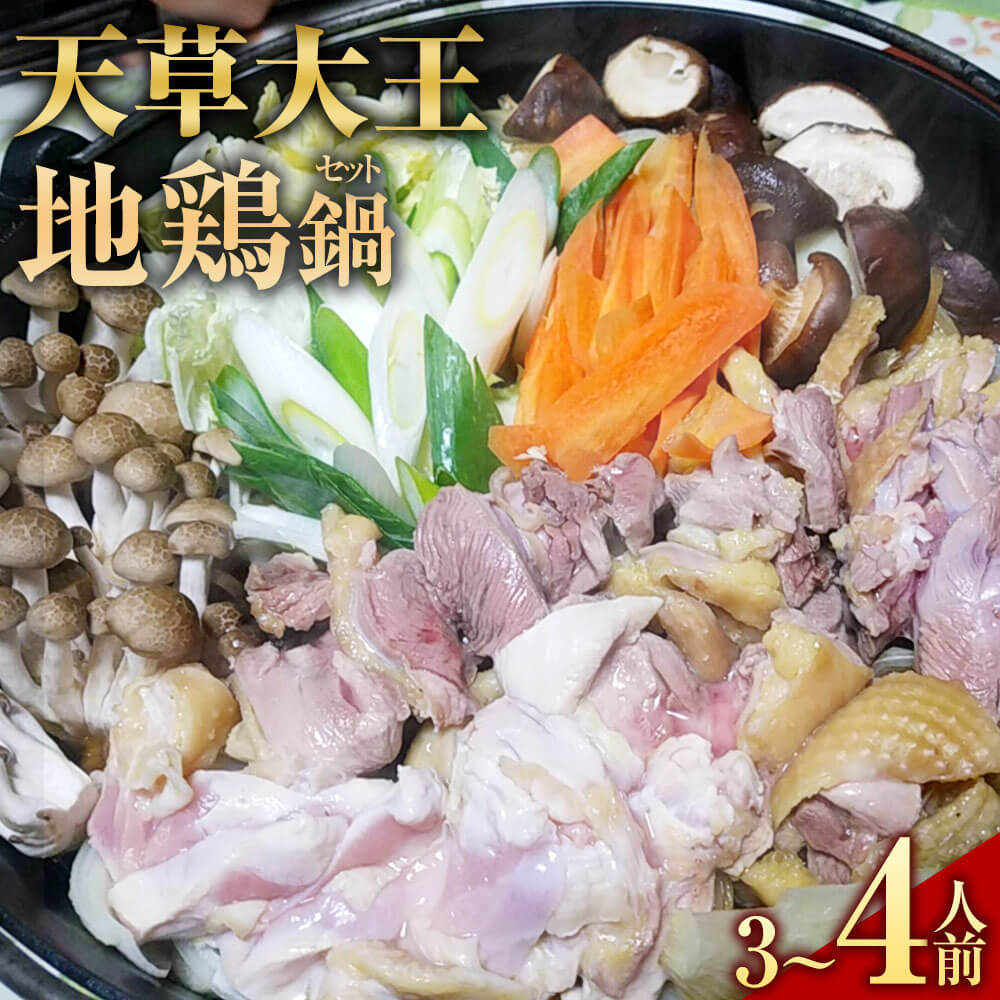 くまもと直送 天草大王 地鶏鍋セット(3〜4人前) 熊本地鶏 地鶏 鶏肉 肉 お肉 ぶつ切り肉 カット肉 つみれ だご麺 スープ付き スープ 地鶏鍋 鍋 鍋セット 冷凍 熊本県産 九州産 お取り寄せ グルメ 国産 熊本県 相良村 送料無料