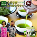 19位! 口コミ数「0件」評価「0」熊本県 相良村産 さがら茶 詰め合わせセット 5種 箱入り ギフト お茶 緑茶 特上煎茶 玉緑茶 白折 食べる緑茶 九州産 送料無料