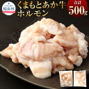 【ふるさと納税】あか牛ホルモン 合計500g 250g×2パック 熊本県産 くまもとあか牛 小腸 シロホルモン 九州産 国産 牛肉 肉 ホルモン 冷凍 送料無料