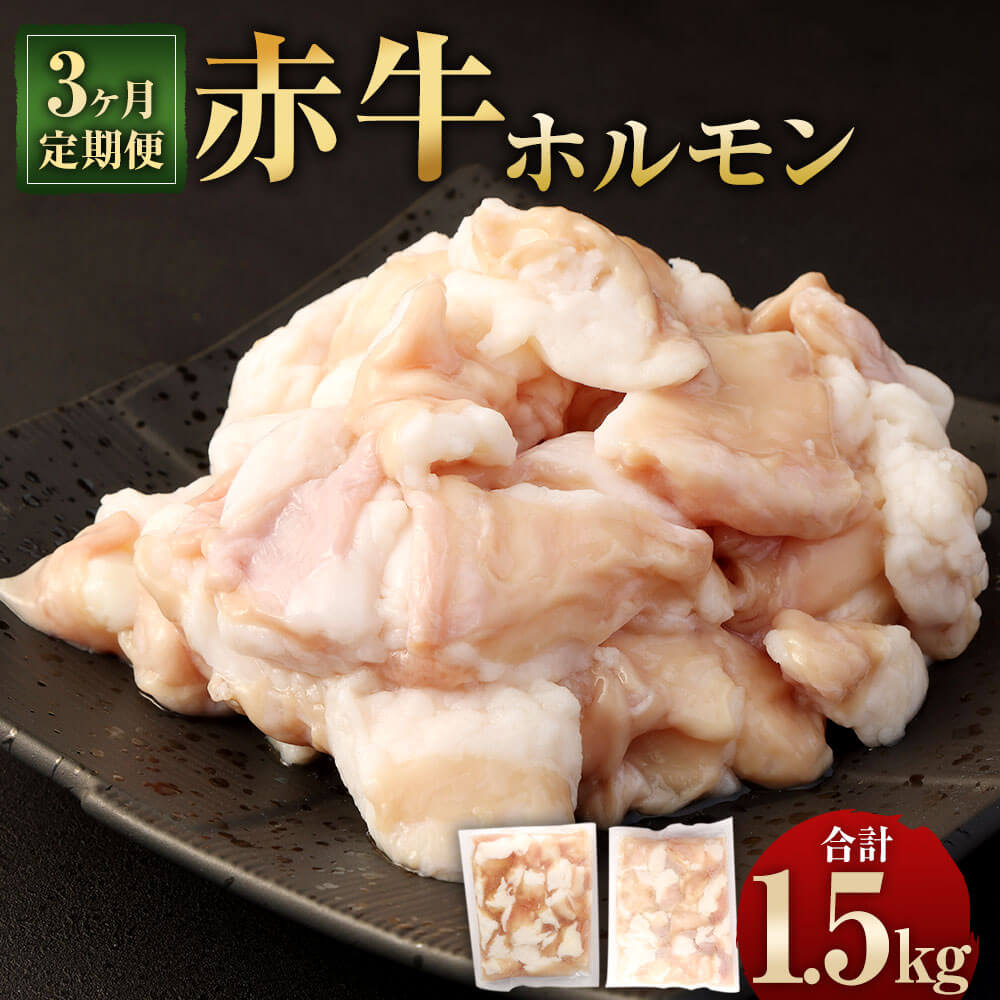 【ふるさと納税】【3ヶ月定期便】赤牛ホルモン 合計1.5kg 1回あたり500g(250g×2パック) 熊本県産 赤牛 小腸 定期便 シロホルモン 九州産 国産 牛肉 肉 ホルモン 冷凍 送料無料