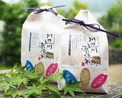 五木の掛け干し米2kg+1kg / お米 精米 れんげ米 熊本県 特産