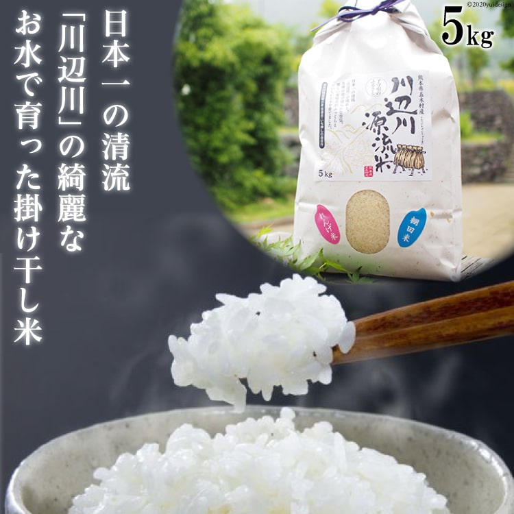 五木の掛け干し米 5kg [子守唄の里五木 熊本県 五木村 51120332] お米 精米 米 こめ コメ ご飯 ごはん 白米 れんげ米 熊本県 特産
