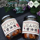 10位! 口コミ数「1件」評価「4」にんにく醤油漬け 230g×2本 数量限定 / 子守唄の里五木 / 熊本県 五木村 [51120069] にんにく ニンニク 醤油漬け 漬物･･･ 