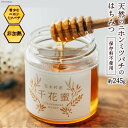 【ふるさと納税】【保存料不使用】天然！千花蜜（はちみつ）約245g＜日添＞【熊本県五木村】