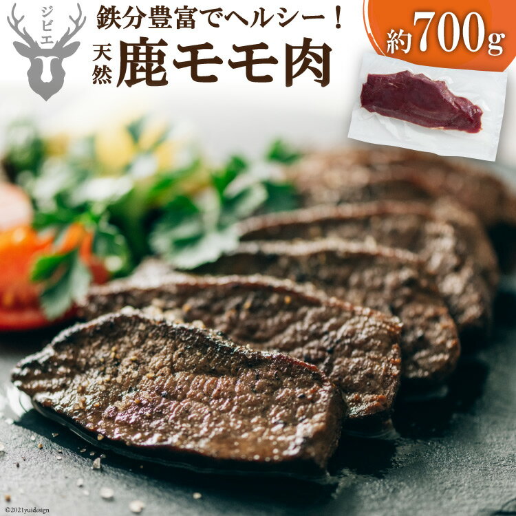 【ふるさと納税】熊本県五木村産　鹿モモ肉 約700g ／ ジビエ 紅葉 もみじ 低カロリー 熊本県 特産＜日..