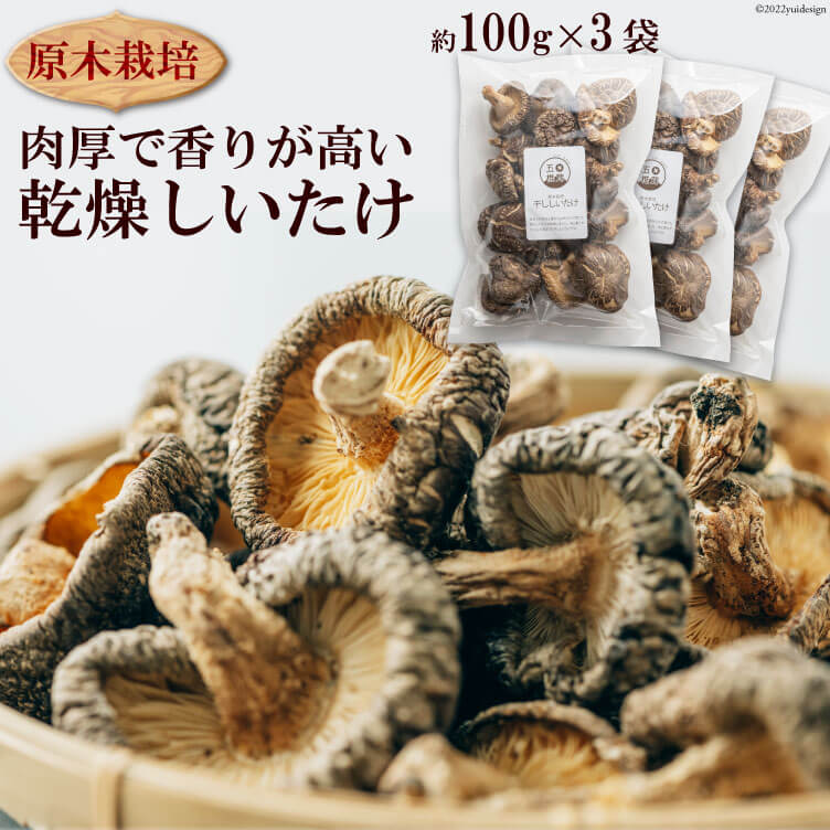 【ふるさと納税】原木栽培 乾燥しいたけ　約100g×3 ／ 肉厚 熊本県 特産＜日添＞【熊本県五木村】