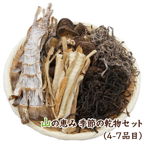 熊本県山江村産 山の恵み 季節の乾物セット 株式会社 やまえ[60日以内に出荷予定(土日祝除く)]