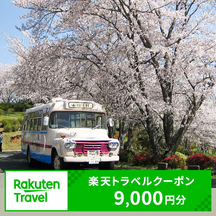 【ふるさと納税】熊本県山江村の対象施設で使える楽天トラベルクーポン 寄付額30,000円《寄附翌日を目途に付与いたします》