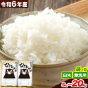【ふるさと納税】 令和6年産 選べる 無洗米 白米 ひのひかり 5kg 10kg 15kg 20kg 《7-14日以内に出荷予定(土日祝除く)》 熊本県産 無洗...