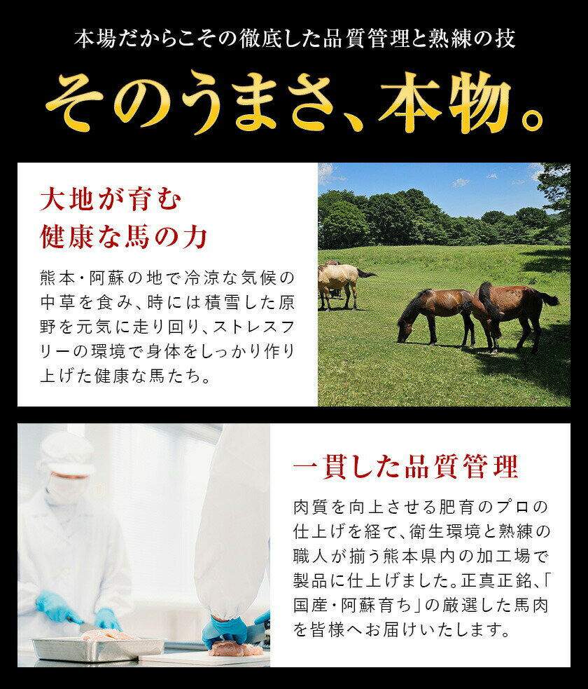 【ふるさと納税】馬刺し 3種 赤身 フタエゴ サガリ 計450g (専用醤油付き150ml×1本) 桜屋《30日以内に出荷予定(土日祝除く)》肉 馬肉 馬さし