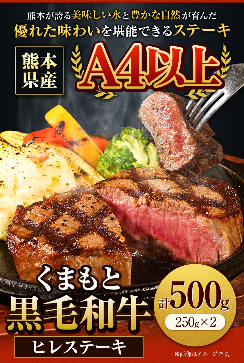 【ふるさと納税】くまもと黒毛和牛 ヒレステーキ 500g 250g × 2枚 牛肉 冷凍 《1月中旬-4月末頃より出荷予定》 くまもと黒毛和牛 黒毛和牛 冷凍庫 個別 取分け 小分け 個包装 ステーキ肉 にも ヒレステーキ