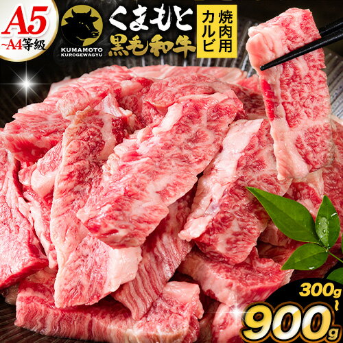 くまもと黒毛和牛 上 カルビ 焼肉 切り落とし 300g 600g 900g[7-14日以内に出荷予定(土日祝除く)]熊本県 山江村 上カルビ 焼肉用 黒毛和牛 焼肉 肉 お肉 和牛 A5 A4 300g 小分け