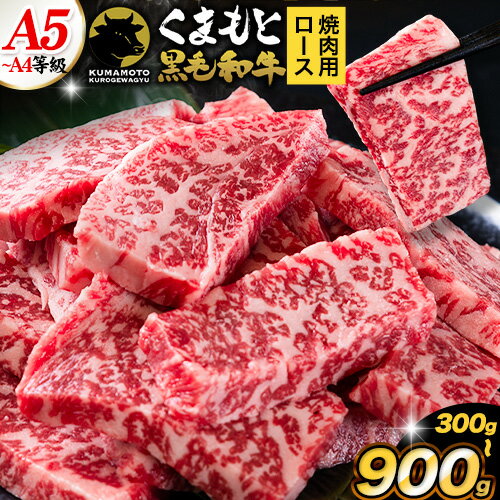 くまもと黒毛和牛 上 ロース 焼肉 切り落とし 300g 600g 900g[7-14日以内に出荷予定(土日祝除く)]熊本県 山江村 上ロース 焼肉用 黒毛和牛 焼肉 肉 お肉 和牛 A5 A4 300g 小分け リブロース サーロイン