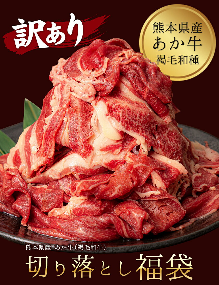 【ふるさと納税】 訳あり 切り落とし 福袋 あか牛（褐毛和牛）1.2kg 熊本県産 肉 和牛 牛肉 冷凍《2022年60日以内に順次出荷(土日祝除く)》 ご家庭用 不揃い 1kg以上 送料無料 1000g以上