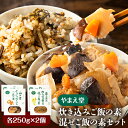 炊き込みご飯の素 混ぜご飯の素セット 各250g×2個 有限会社 やまえ堂 《30日以内に出荷予定(土日祝除く)》山の幸 たけのこ 竹の子 筍 しいたけ きくらげ わらび 炊き込みご飯 混ぜ込みご飯 送料無料