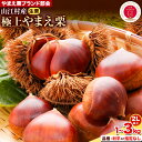 【ふるさと納税】大粒 GI認証登録 山江村の やまえ栗 生栗 選べる 1kg 2kg 3kg 品種 利平 or 品種指定なし 筑波 美玖里 など旬の品種 やまえ栗ブランド部会 有限会社やまえ堂《9月下旬-10月中旬頃出荷》熊本県 球磨郡 山江村 栗 くり フルーツ 熊本県産 果物 早期 2L以上