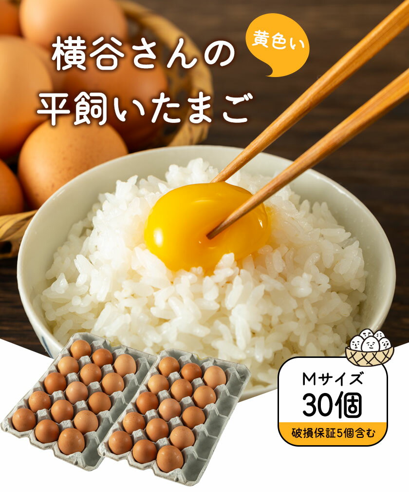 【ふるさと納税】横谷さんの平飼いたまご Mサイズ30個入り 破損保証5個含む 山江村ヤマメ生産組合《30日以内に出荷予定(土日祝除く)》