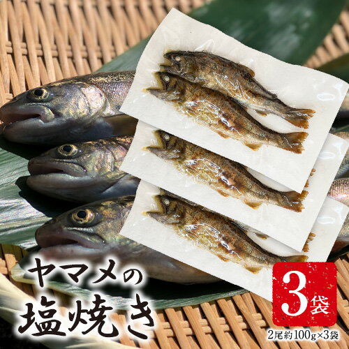 【ふるさと納税】ヤマメの塩焼き 3袋(2尾約100g×3袋) 山江村ヤマメ生産組合《30日以内に出荷予定(土日祝除く)》