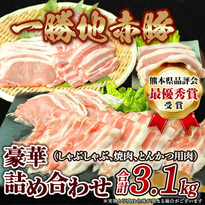 熊本県 球磨村 農林水産大臣賞受賞 一勝地赤豚 詰め合わせ 3.1kg FKP9-140