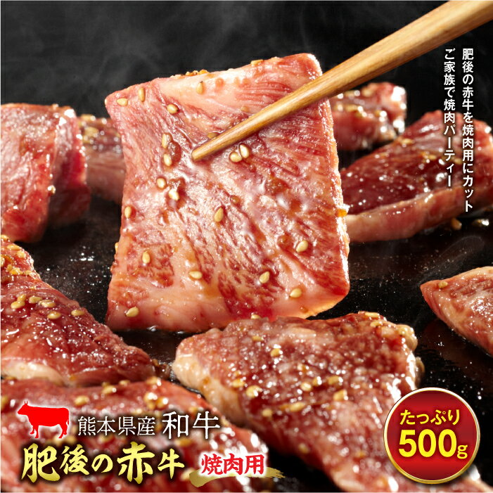 【ふるさと納税】カット済み！肥後の赤牛 焼肉用（500g） あか牛 焼肉 牛肉 焼き肉 冷凍 肉 お肉 バーベキュー BBQ 熊本県 FKP9-451