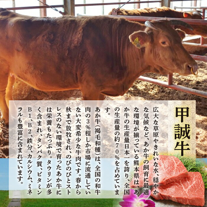 【ふるさと納税】あか牛ランプステーキ（150g×2枚） FKP9-514