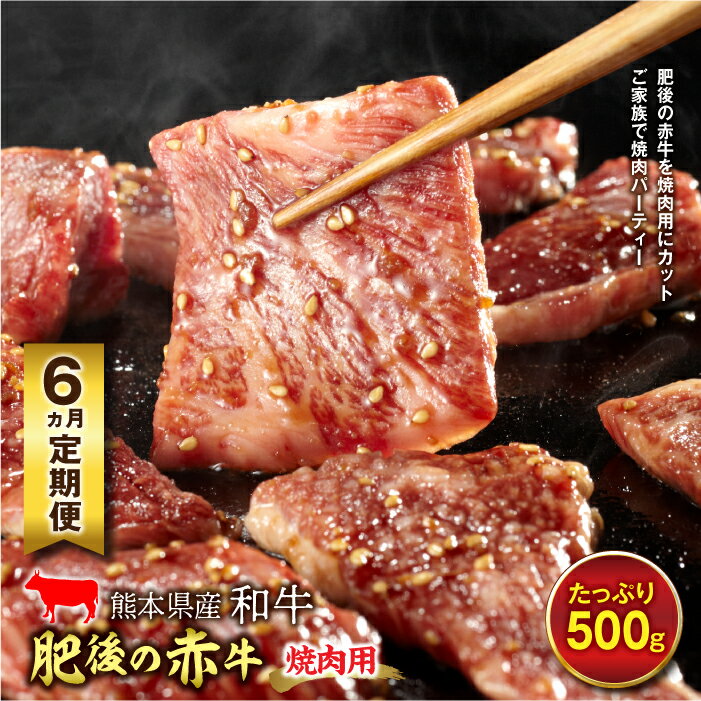 【ふるさと納税】≪6ヵ月定期≫肥後の赤牛 焼肉用（500g）FKP9-453