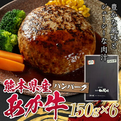 熊本県産あか牛ハンバーグ150g×6個 FKP9-328