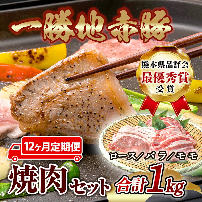 【ふるさと納税】 ≪12ヵ月定期≫一勝地赤豚焼肉セット(1kg) FKP9-461のサムネイル