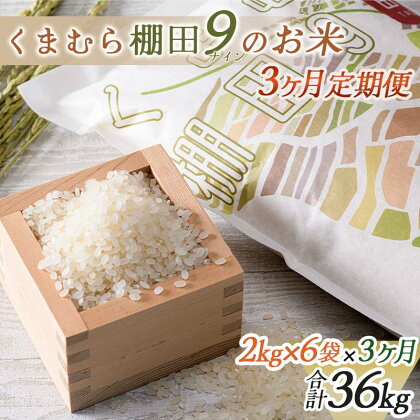 【3カ月定期便】【令和5年度新米】 球磨村産 棚田米 白米12kg (2kg×6袋×3回) 計36kg お米 ブランド米 精米 白米 定期 3か月連続 FKP9-467