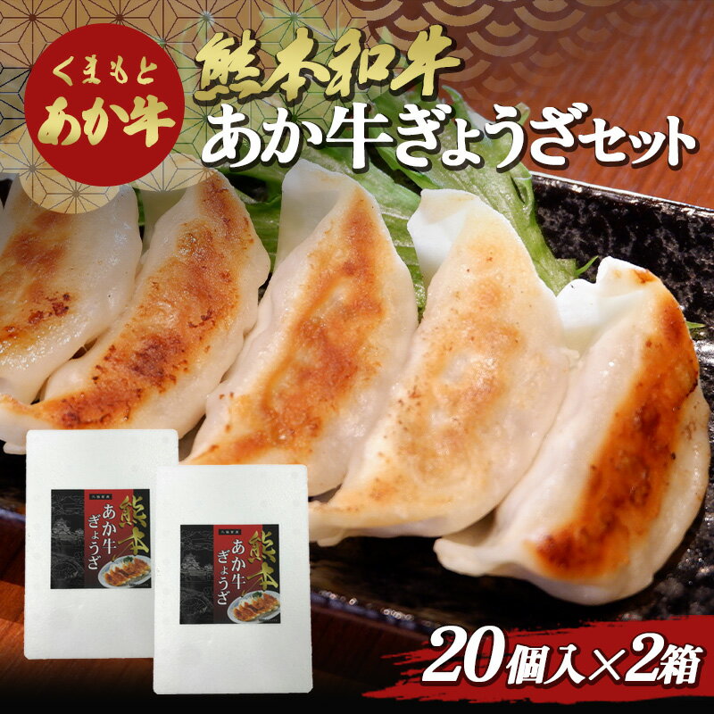 熊本和牛あか牛ぎょうざセット(熊本あか牛餃子20個入り×2箱) FKP9-498