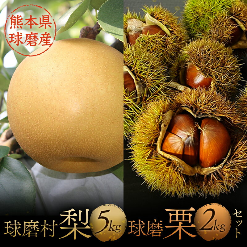 【ふるさと納税】球磨村梨と球磨栗のセット なし ナシ フルーツ 果物 豊水 秋月 二十世紀 新高 甘太 新興 凜夏 人吉 くり おつまみ 栗ご飯 FKP9-521