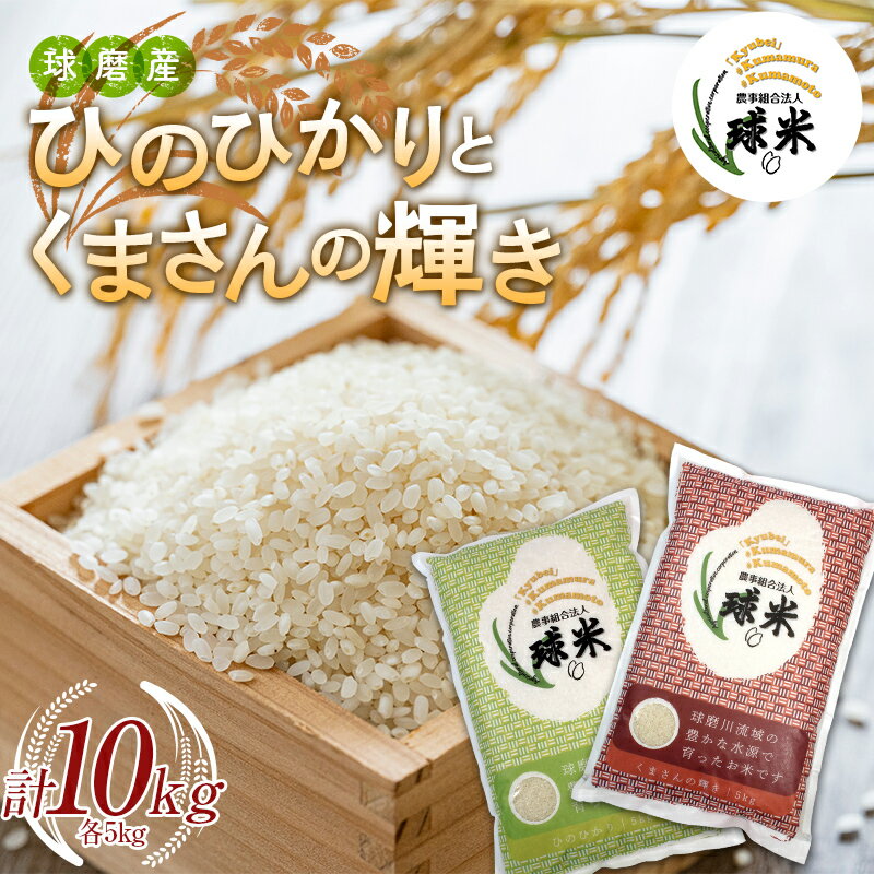 【ふるさと納税】 球磨産白米 ひのひかり・くまさんの輝き（各5kg） FKP9-534