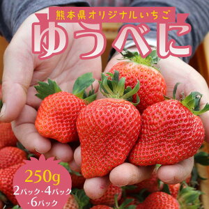 【ふるさと納税】【選べる容量】【先行予約】球磨村産いちご / ゆうべに 1箱 (250g×2パック) / 2箱 (250g×4パック) / 3箱(250g×6パック) FKP9-539var