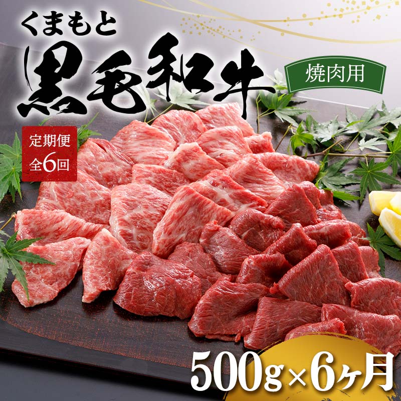 73位! 口コミ数「0件」評価「0」【6カ月定期便】くまもと黒毛和牛 焼肉用 500g 赤身 牛肉 お祝い お取り寄せ ステーキ 国産 九州 熊本県 球磨村 FKP9-554