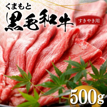 くまもと黒毛和牛 すきやき用 500g 赤身 牛肉 お祝い お取り寄せ 黒毛和牛 国産 九州 熊本県 球磨村 FKP9-555