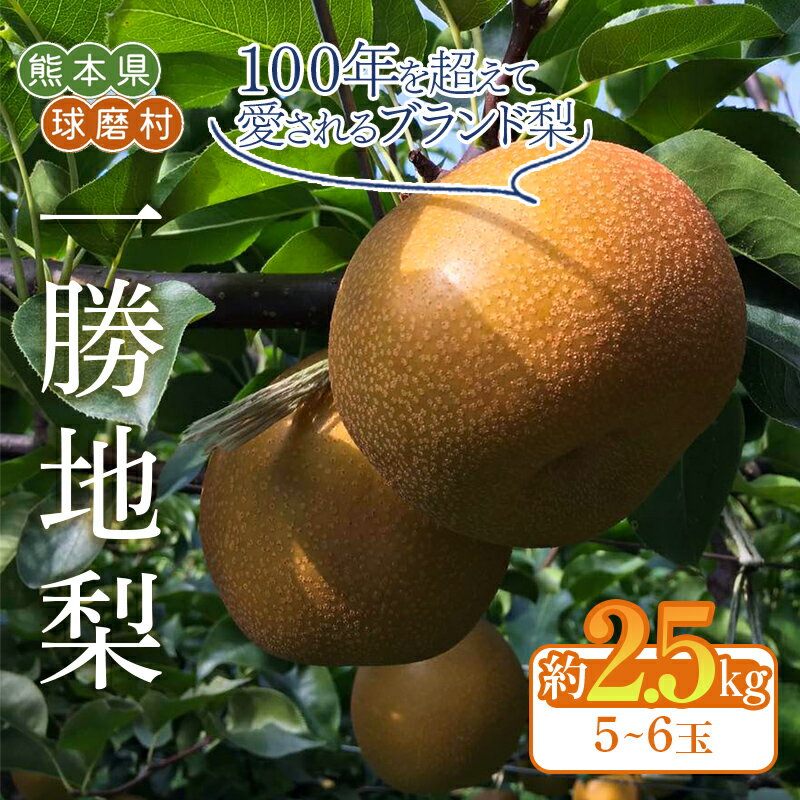 【ふるさと納税】《先行予約》一勝地梨 約2.5kg FKP9