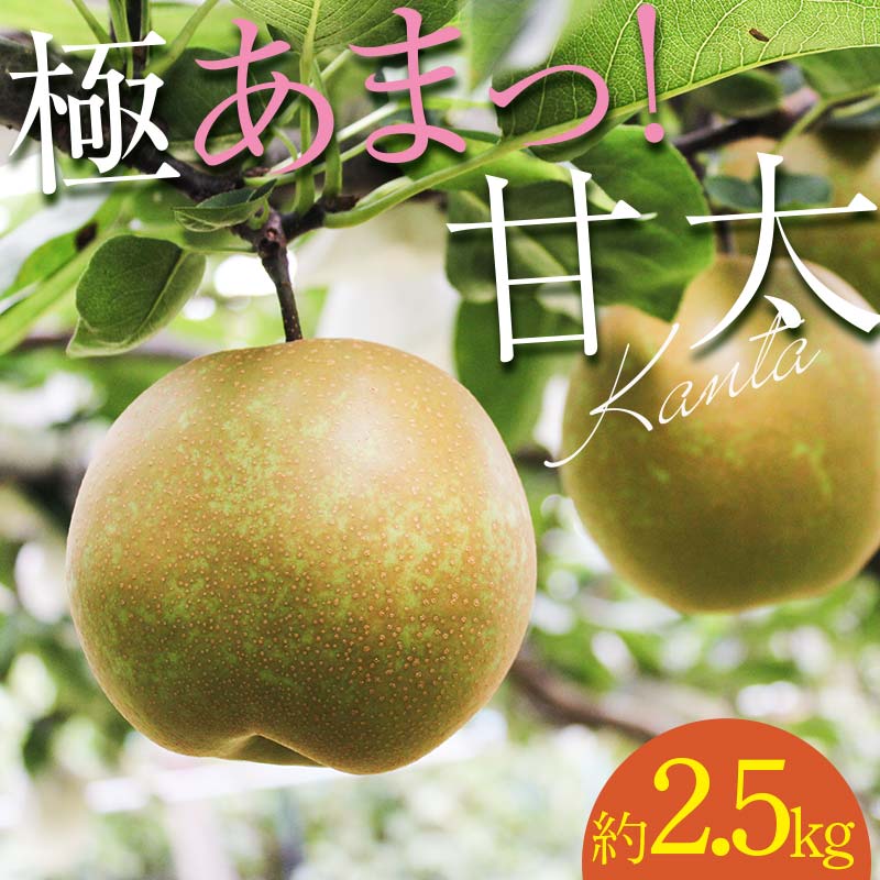 [先行予約] 極あまっ!甘太 (約2.5kg) ナシ なし 梨 和梨 和なし 和ナシ ブランド梨 FKP9-651