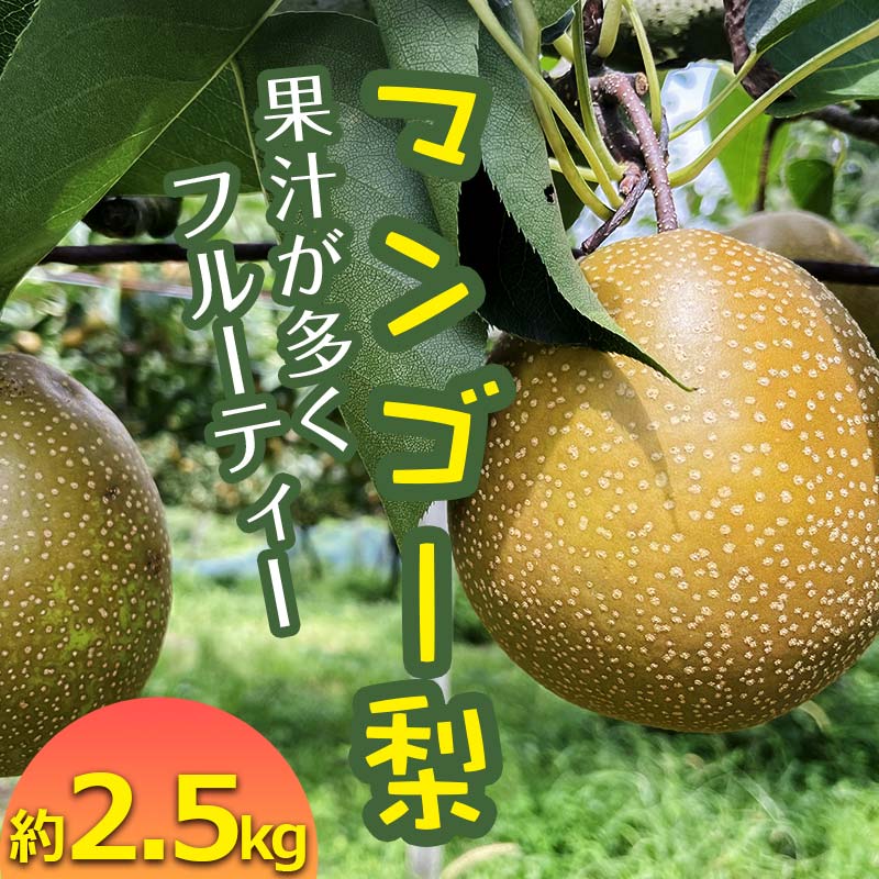 [先行予約] マンゴー梨(王秋梨)熊本県 球磨村 なし ナシ 和梨 和なし 和ナシ ブランド梨 フルーツ 梨 期間限定 果物 くだもの 旬の果物 デザート 数量限定 FKP9-652